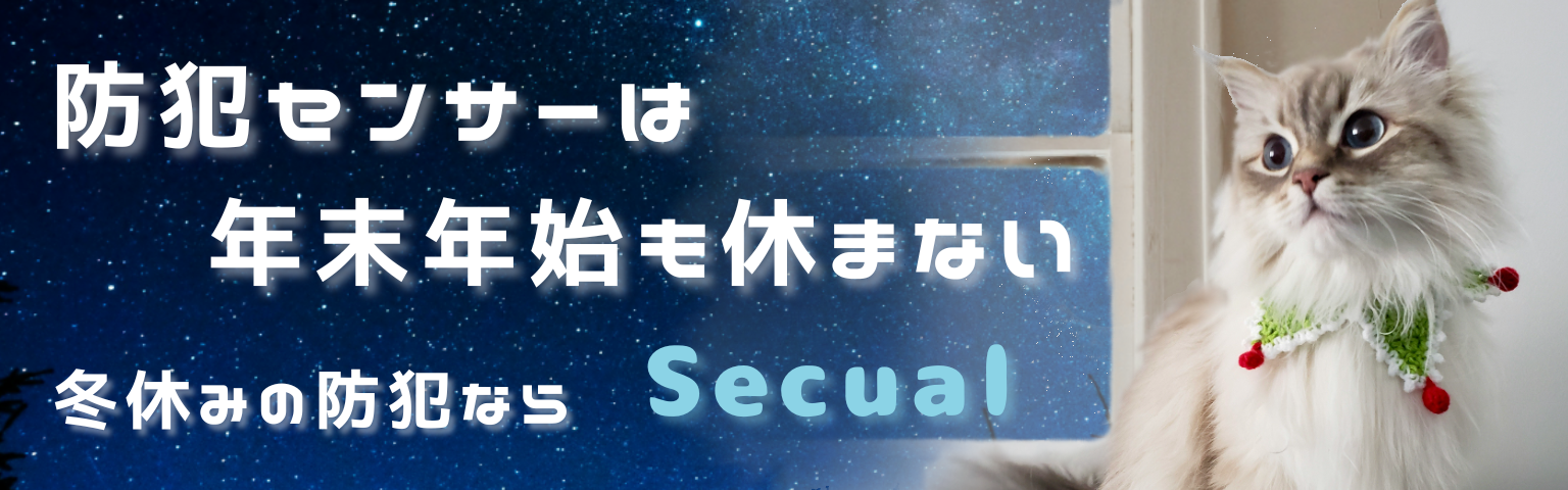 防犯センサーは年末年始も休まない｜冬休みの防犯ならSecual