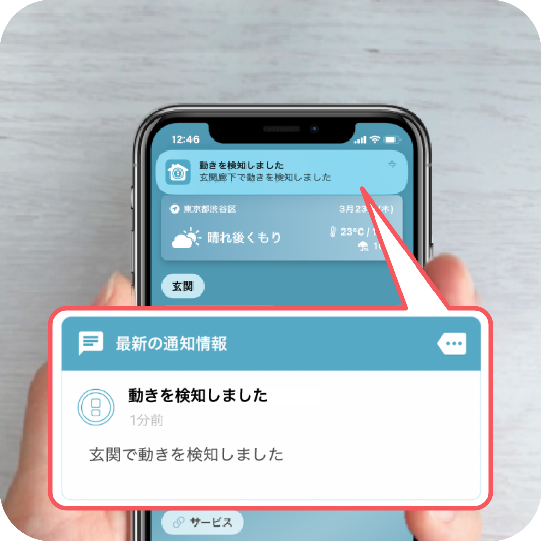 最新の通知情報 動きを検知しました